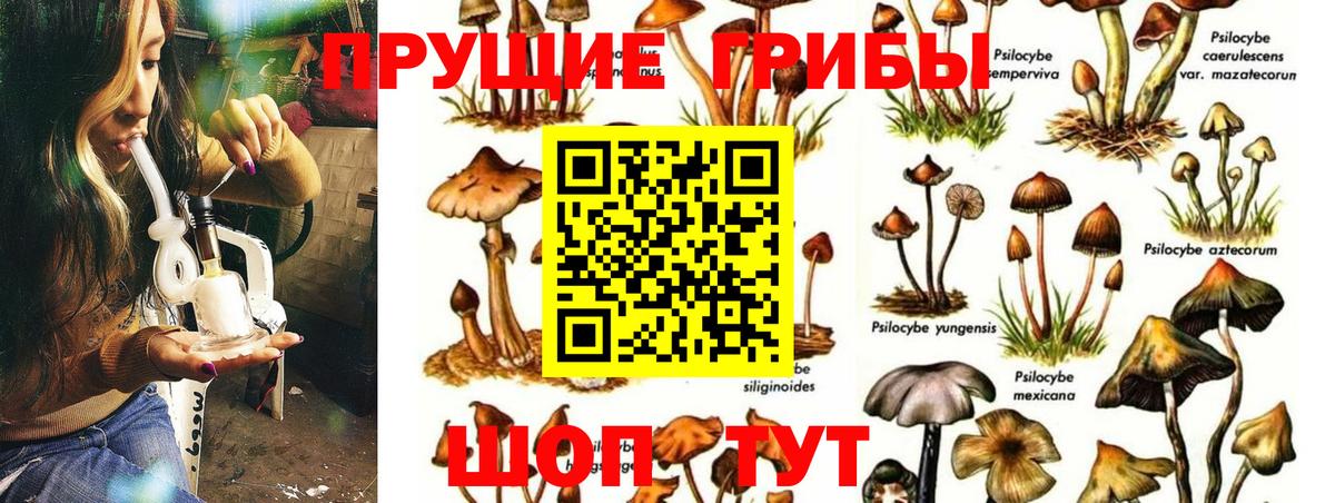 Галлюциногенные грибы мицелий Майкоп