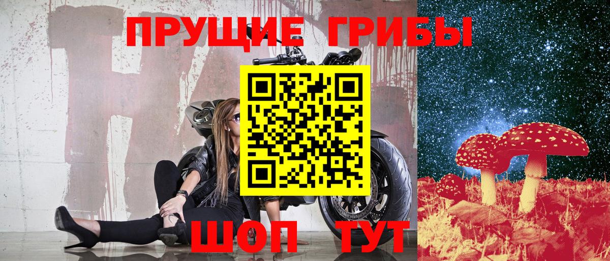 Псилоцибиновые грибы Cubensis  Вход с VPN  Галлюциногенные грибы прущие грибы  Майкоп 